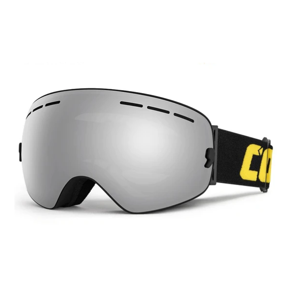 Ski and Snow Goggles